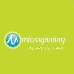 Microgaming New Slot Games
