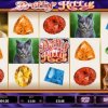 Pretty Kitty Video Slot Game