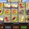 Age of Discovery Video Slot